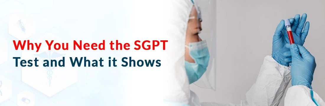  Why You Need the SGPT Test and What it Shows